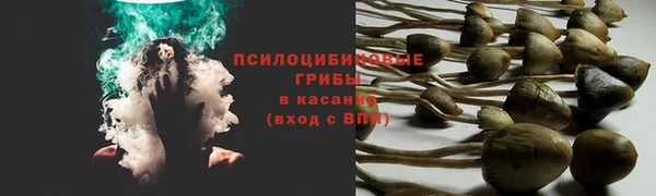 трава Алексеевка