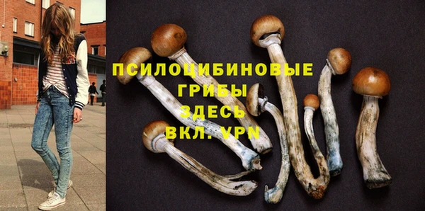 Альфа ПВП Алексин