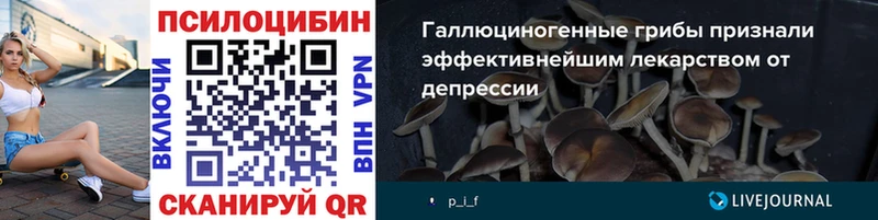 Псилоцибиновые грибы мицелий  Зеленоградск 